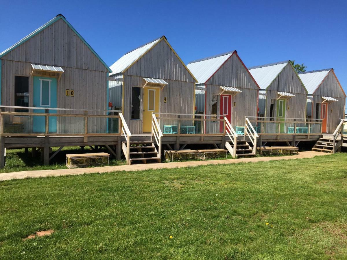 Shantystay Accommodations Сурис Екстер'єр фото